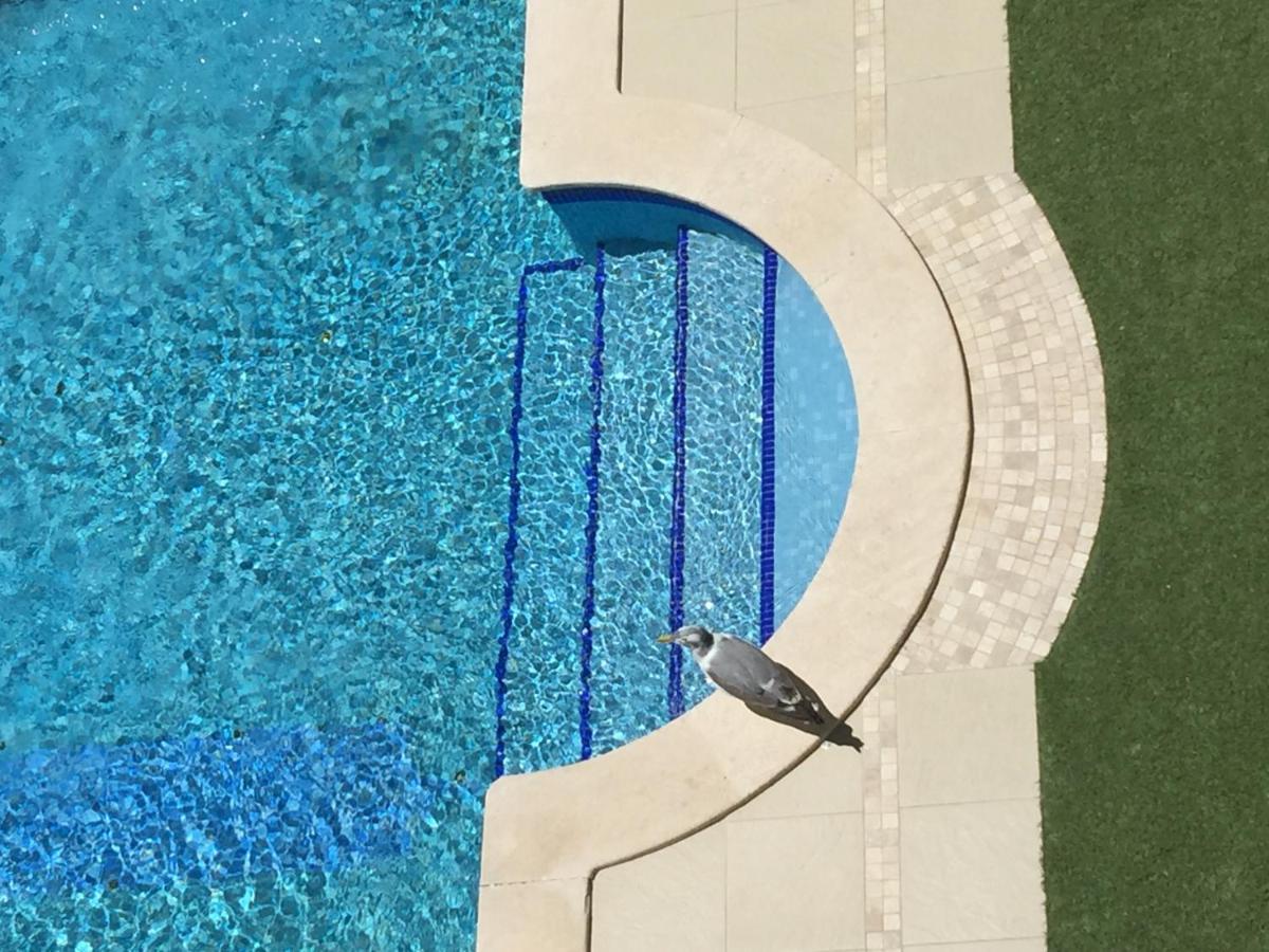 3 Min Walking To Peneco Beach Albufeira At Sol A Sul Apartments 외부 사진